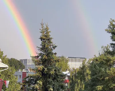 Image: Double Rainbow